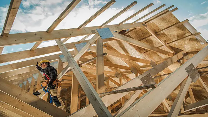 Le bois : le meilleur atout pour la construction et la rénovation