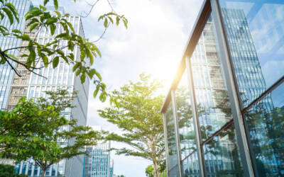 Décarbonation du bâtiment : les meilleures pratiques en 2025