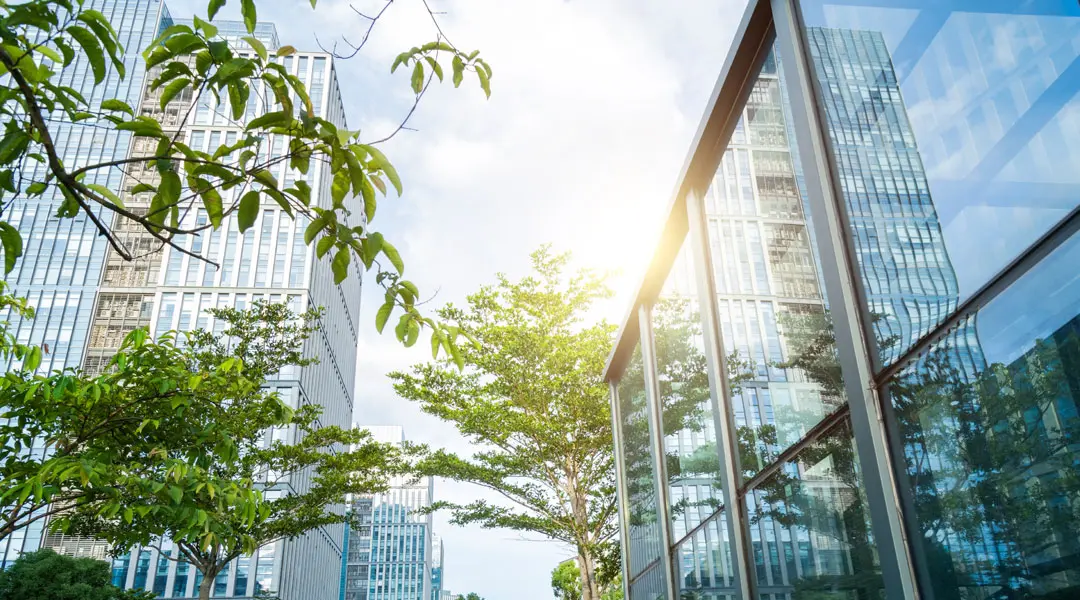 Décarbonation du bâtiment : les meilleures pratiques en 2025